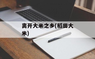 离开大米之乡(稻田大米)