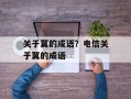 关于翼的成语？电信关于翼的成语