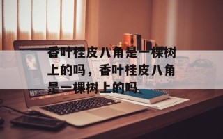 香叶桂皮八角是一棵树上的吗，香叶桂皮八角是一棵树上的吗