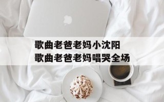 歌曲老爸老妈小沈阳 歌曲老爸老妈唱哭全场