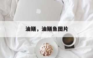 油鳝，油鳝鱼图片