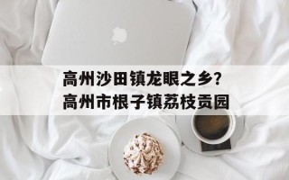 高州沙田镇龙眼之乡？高州市根子镇荔枝贡园