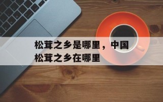松茸之乡是哪里，中国松茸之乡在哪里