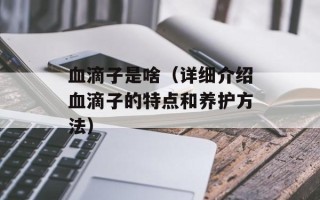 血滴子是啥（详细介绍血滴子的特点和养护方法）