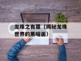 龙珠之有罪（揭秘龙珠世界的黑暗面）