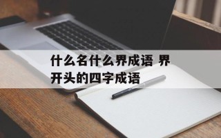 什么名什么界成语 界开头的四字成语