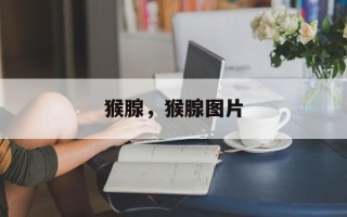 猴腺，猴腺图片