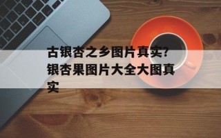 古银杏之乡图片真实？银杏果图片大全大图真实