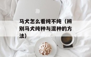 马犬怎么看纯不纯（辨别马犬纯种与混种的方法）