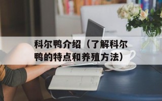 科尔鸭介绍（了解科尔鸭的特点和养殖方法）