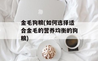 金毛狗粮(如何选择适合金毛的营养均衡的狗粮)