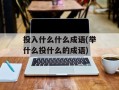 投入什么什么成语(举什么投什么的成语)