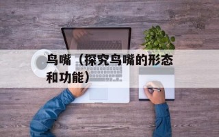 鸟嘴（探究鸟嘴的形态和功能）