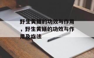 野生黄鳝的功效与作用，野生黄鳝的功效与作用及吃法