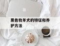 黑色牧羊犬的特征和养护方法