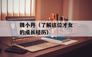 魏小丹（了解这位才女的成长经历）