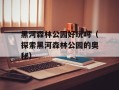 黑河森林公园好玩吗（探索黑河森林公园的奥秘）