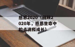 感恩2020（回顾2020年，感恩生命中的点滴和成长）
