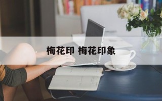 梅花印 梅花印象