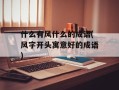 什么有风什么的成语(风字开头寓意好的成语)