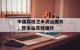 中国荔枝之乡灵山图片，野生山荔枝图片