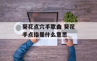 葵花点穴手歌曲 葵花手点指是什么意思