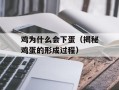 鸡为什么会下蛋（揭秘鸡蛋的形成过程）
