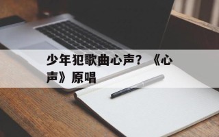 少年犯歌曲心声？《心声》原唱