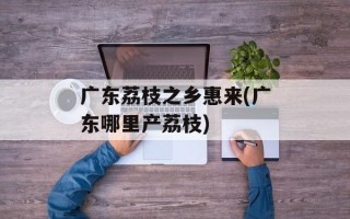 广东荔枝之乡惠来(广东哪里产荔枝)