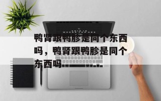 鸭肾跟鸭胗是同个东西吗，鸭肾跟鸭胗是同个东西吗