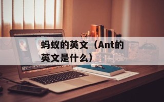 蚂蚁的英文（Ant的英文是什么）