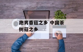 跑男香菇之乡 中国茶树菇之乡