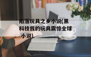 陷落玩具之乡小说(黑科技我的玩具震惊全球 小说)