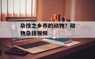 杂技之乡养的动物？动物杂技视频