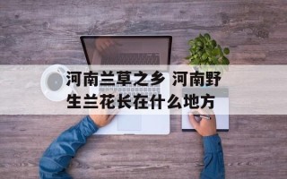 河南兰草之乡 河南野生兰花长在什么地方