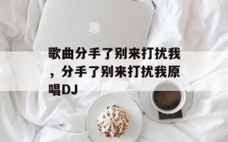 歌曲分手了别来打扰我，分手了别来打扰我原唱DJ
