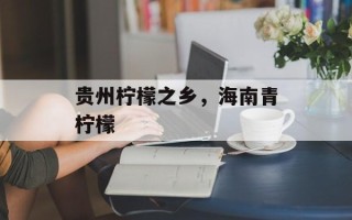 贵州柠檬之乡，海南青柠檬