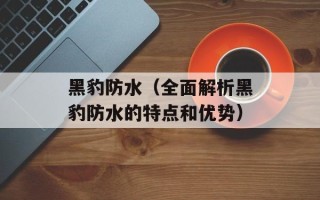 黑豹防水（全面解析黑豹防水的特点和优势）