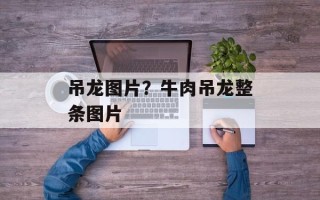 吊龙图片？牛肉吊龙整条图片