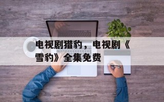 电视剧猎豹，电视剧《雪豹》全集免费