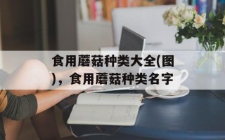 食用蘑菇种类大全(图)，食用蘑菇种类名字