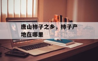 唐山柿子之乡，柿子产地在哪里