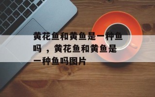 黄花鱼和黄鱼是一种鱼吗 ，黄花鱼和黄鱼是一种鱼吗图片