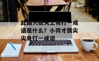 此曲只应天上有打一成语是什么？小荷才露尖尖角打一成语