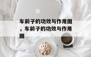 车前子的功效与作用图，车前子的功效与作用图