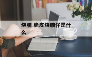 烧腩 脆皮烧腩仔是什么