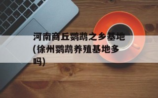 河南商丘鹦鹉之乡基地(徐州鹦鹉养殖基地多吗)