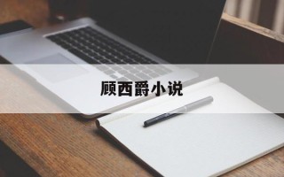 顾西爵小说