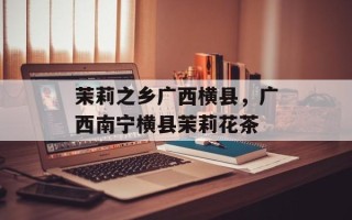 茉莉之乡广西横县，广西南宁横县茉莉花茶