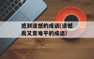 感到遗憾的成语(遗憾而又意难平的成语)